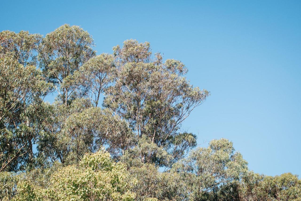 Quality Apartments Banksia Albany Esterno foto
