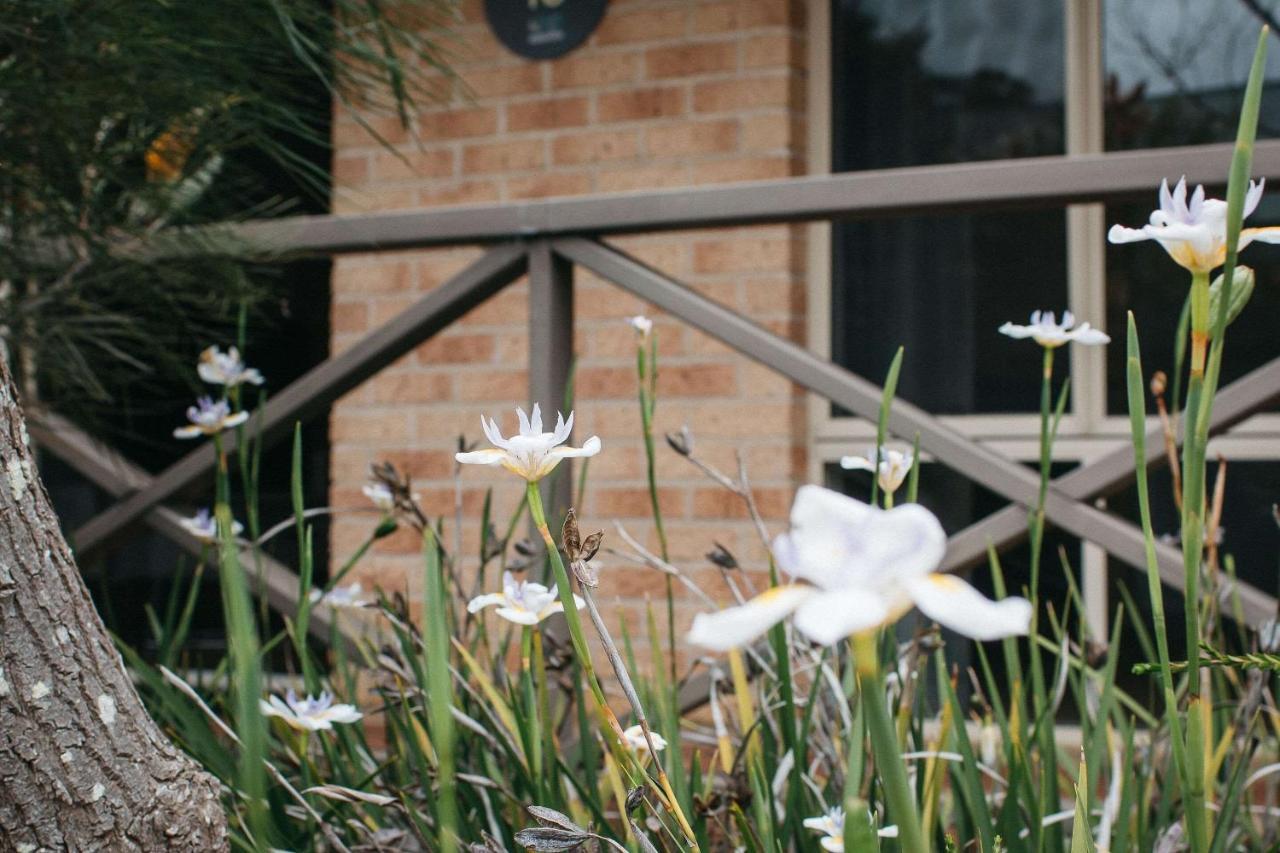 Quality Apartments Banksia Albany Esterno foto